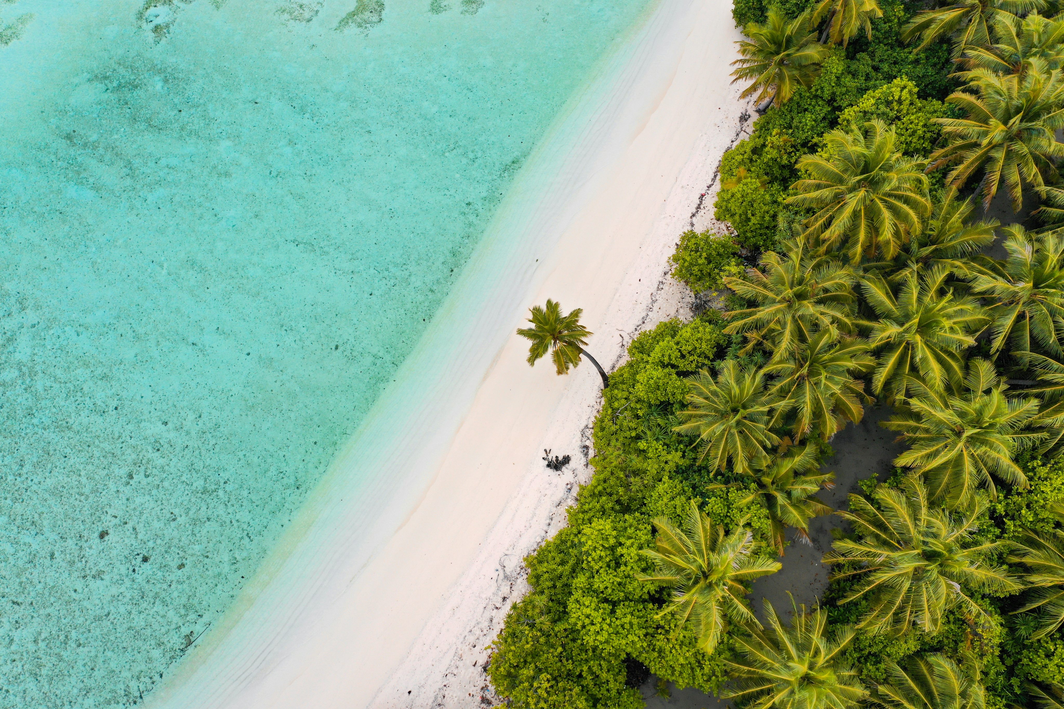 Un jour, j’irai à Tahiti… et si ce rêve devenait votre mariage